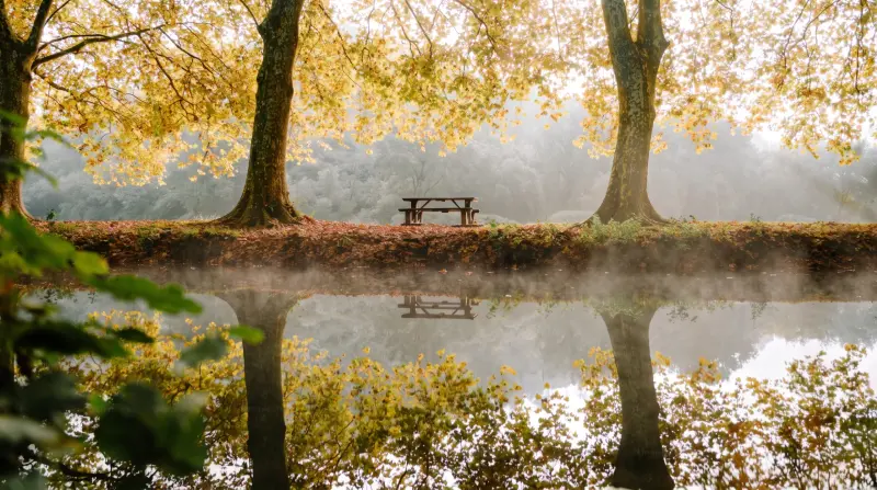 Étang dans la brume d'automne, arbres dorés et banc au bord de l'eau